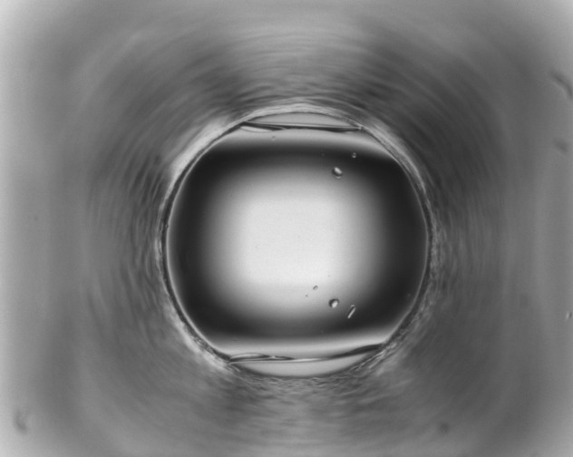 X0000102510813200808151545