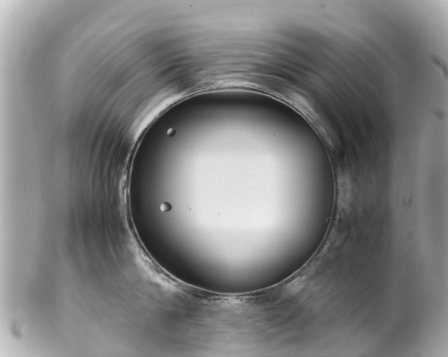 X0000102510814200808151545