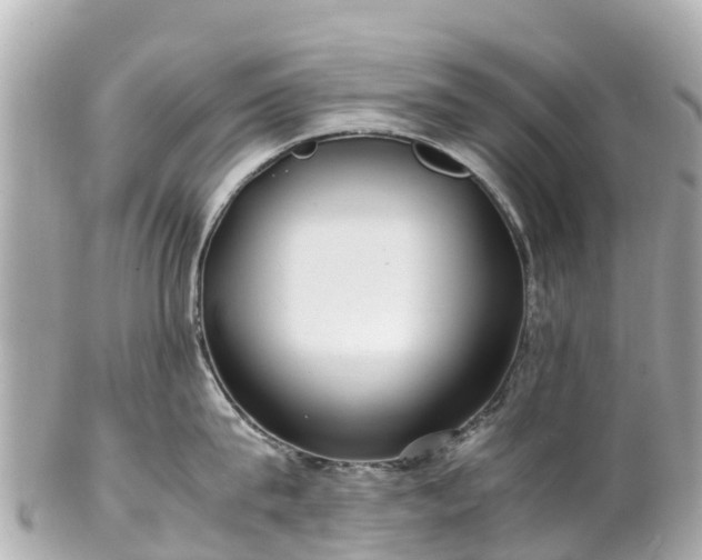 X0000102510815200808151545