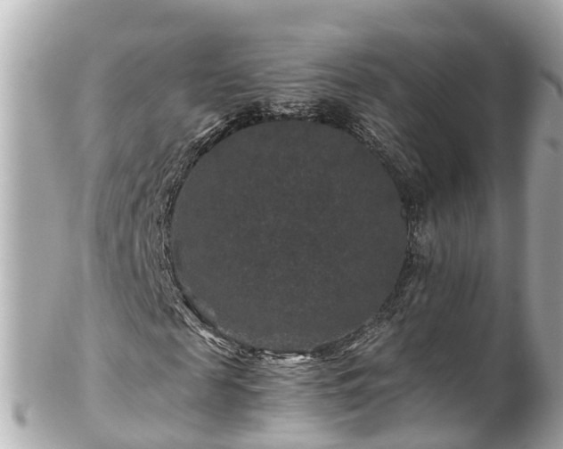 X0000102510817200808151544