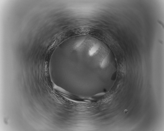 X0000102510818200808151544
