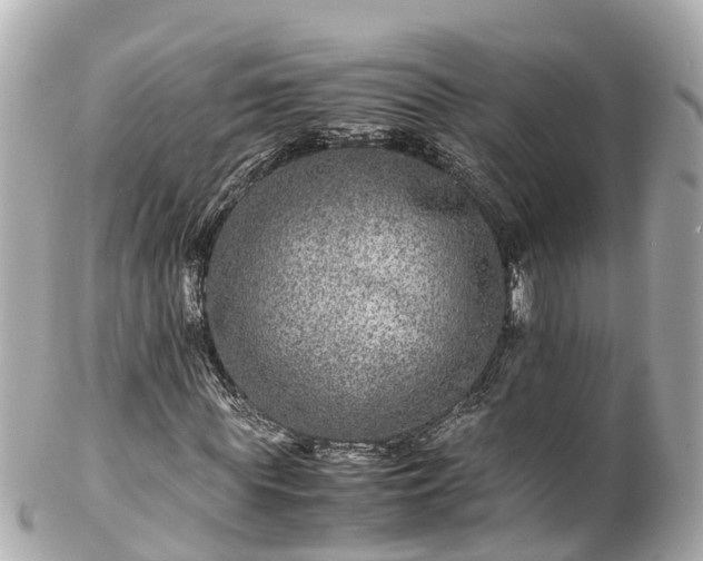 X0000102510819200808151544