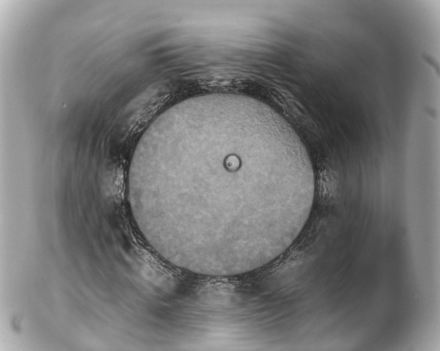 X0000102510820200808151544