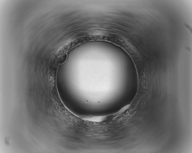 X0000102510821200808151544