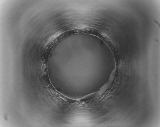 X0000102510822200808151544