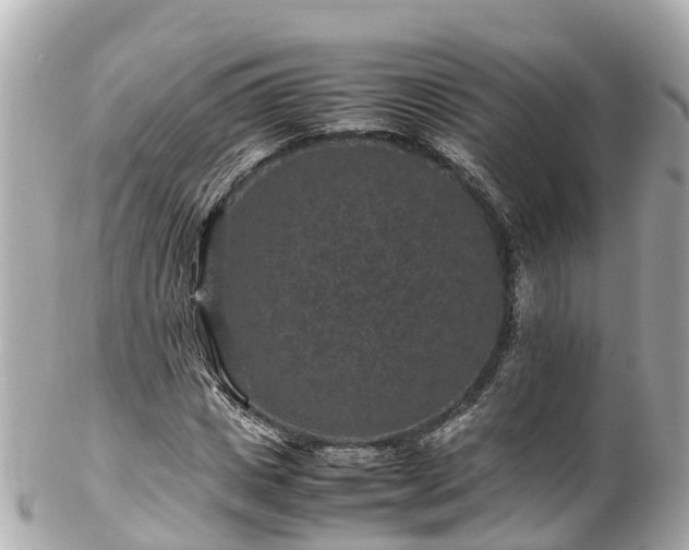 X0000102510825200808151544