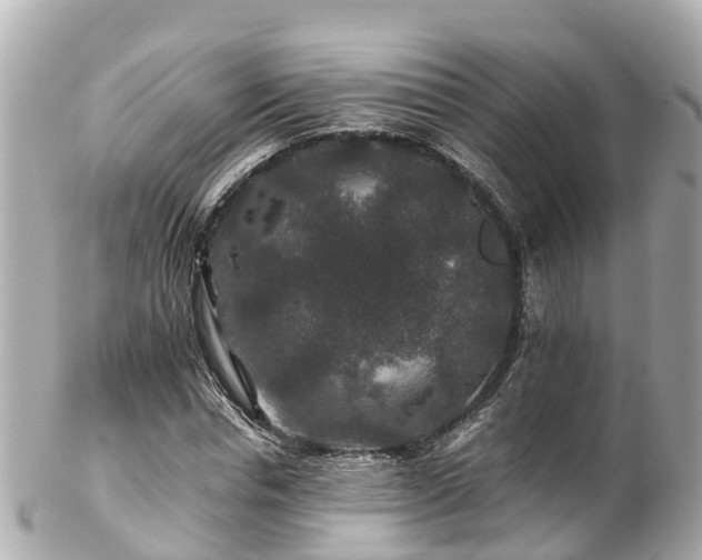 X0000102510826200808151544