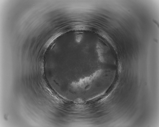 X0000102510829200808151544