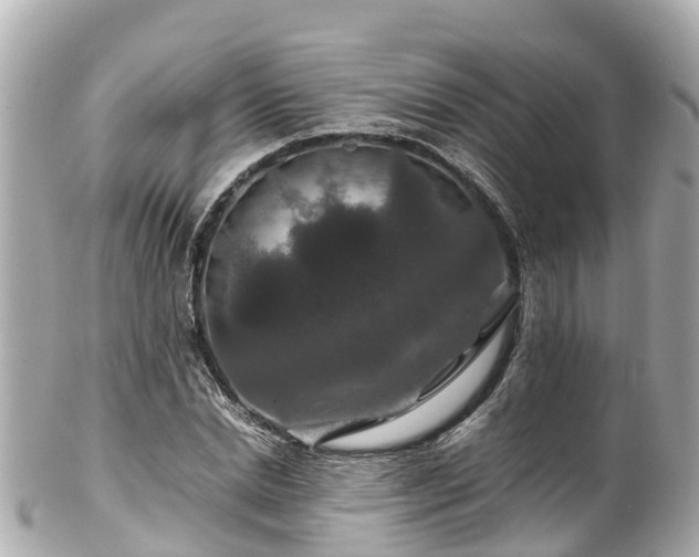 X0000102510830200808151544