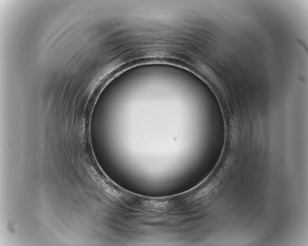 X0000102510831200808151544