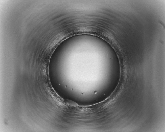 X0000102510833200808151544