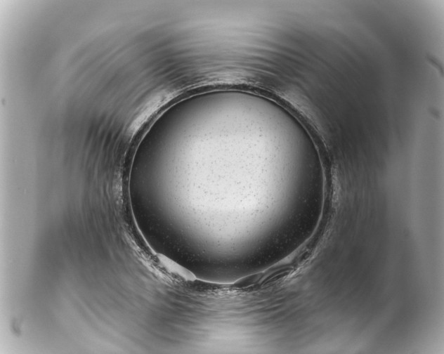 X0000102510834200808151544