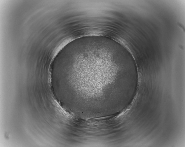 X0000102510835200808151544