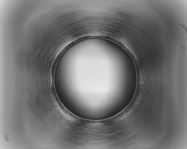 X0000102510837200808151544