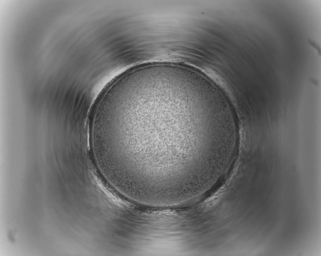 X0000102510838200808151544