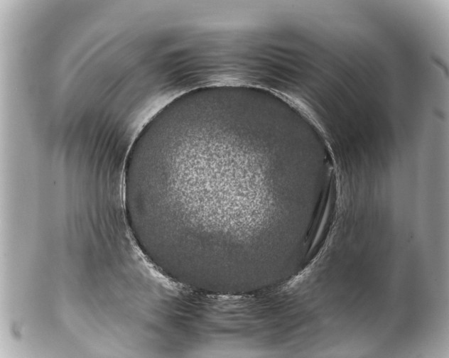 X0000102510839200808151544