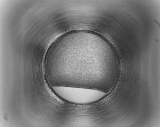 X0000102510840200808151544