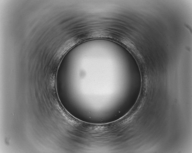 X0000102510841200808151544