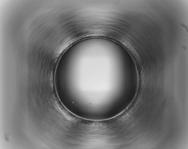 X0000102510842200808151544