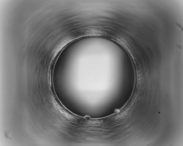X0000102510843200808151544
