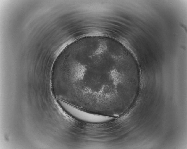 X0000102510845200808151544