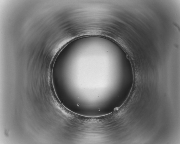 X0000102510846200808151544