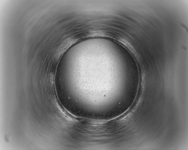 X0000102510849200808151544