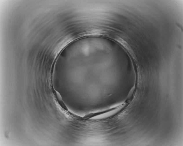 X0000102510850200808151544