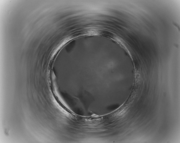 X0000102510851200808151545