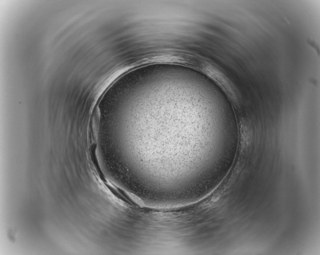 X0000102510852200808151545