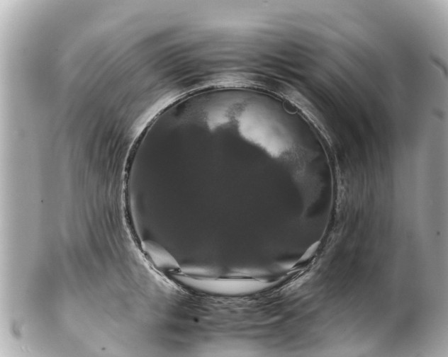 X0000102510853200808151545