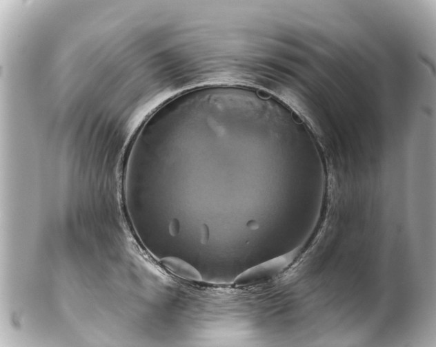 X0000102510854200808151545