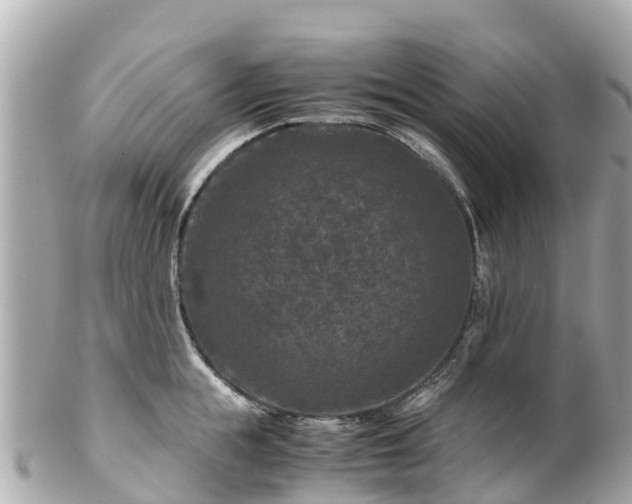 X0000102510855200808151545