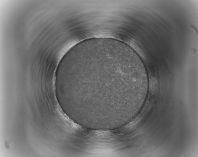 X0000102510856200808151545