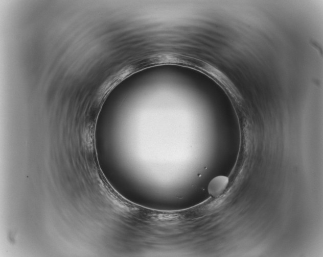 X0000102510857200808151545