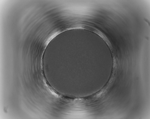 X0000102510858200808151545