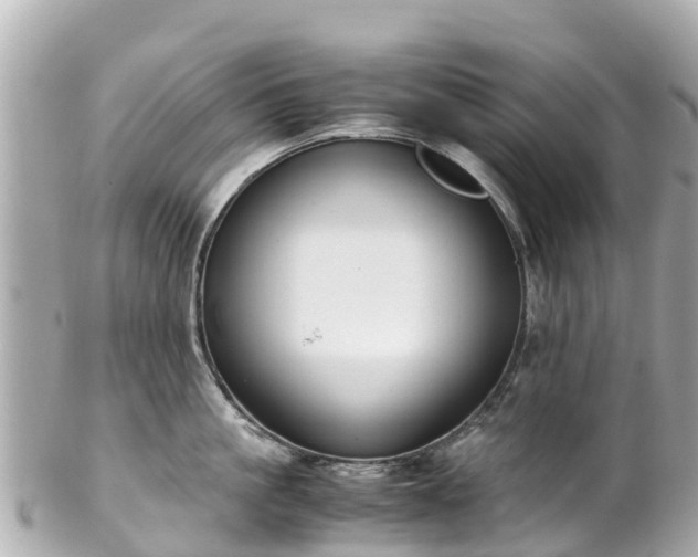 X0000102510861200808151545