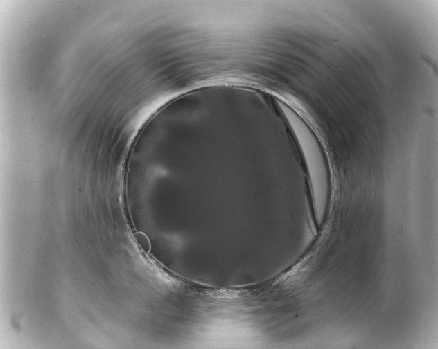 X0000102510862200808151545