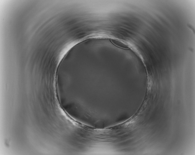 X0000102510863200808151545