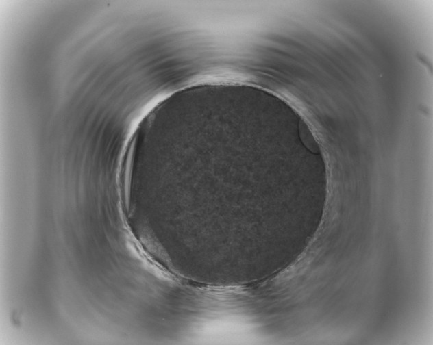 X0000102510864200808151545