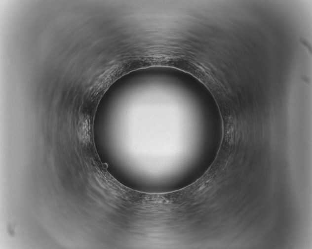 X0000102510866200808151544