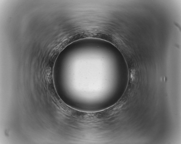 X0000102510867200808151544