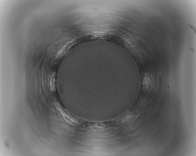 X0000102510868200808151544