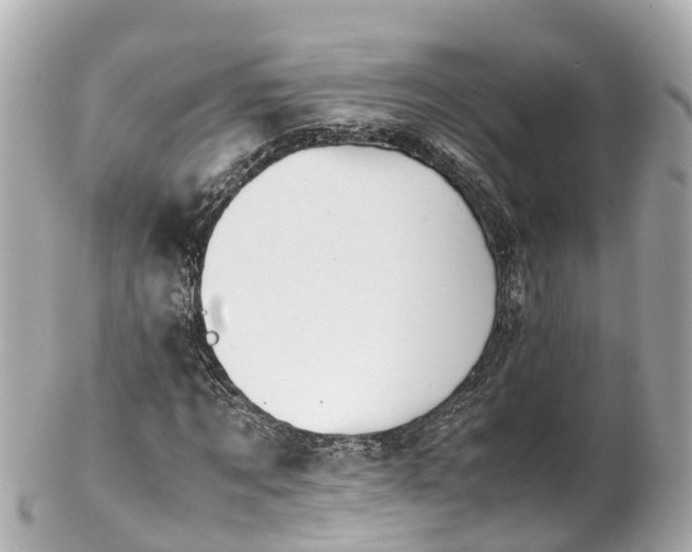 X0000102510869200808151544