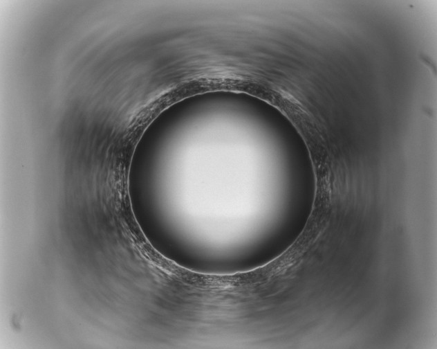 X0000102510870200808151544