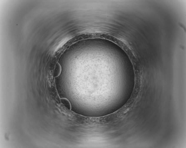 X0000102510871200808151544