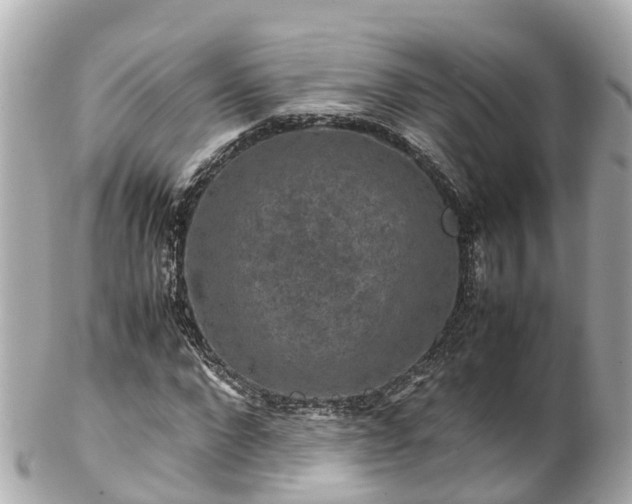 X0000102510872200808151544