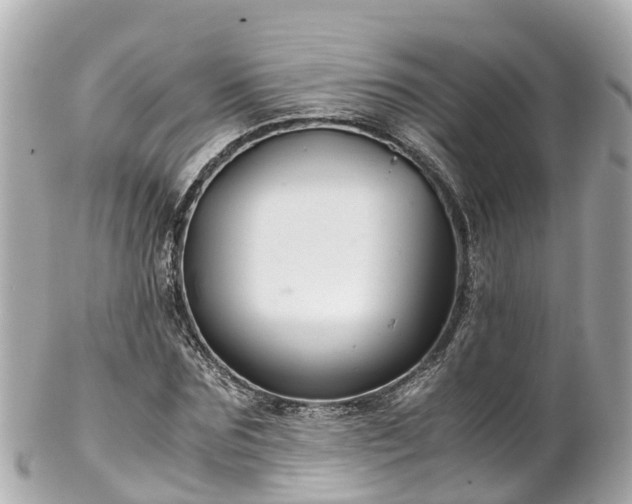 X0000102510875200808151544
