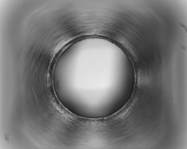 X0000102510876200808151544