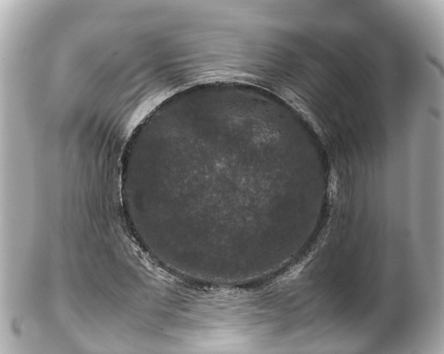 X0000102510877200808151544